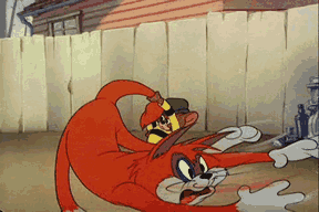 tomi_08.gif