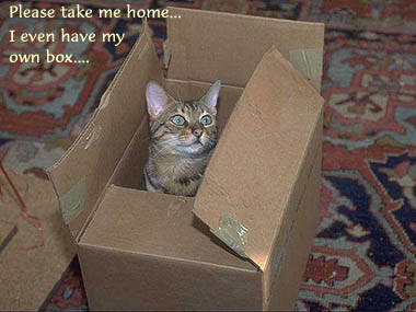 takemehome.jpg