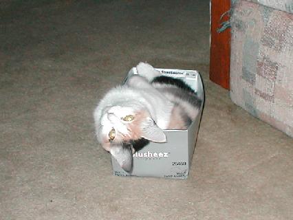 181.jpg