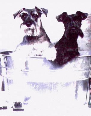 Bathtime.jpg