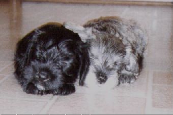 Babypic.jpg