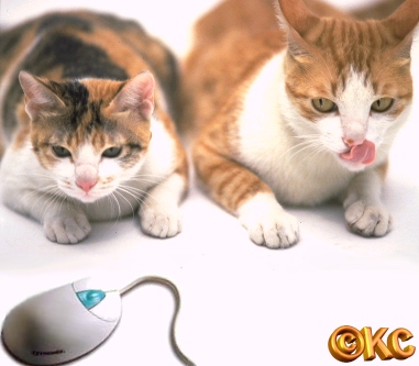 p_cats_hunters.jpg