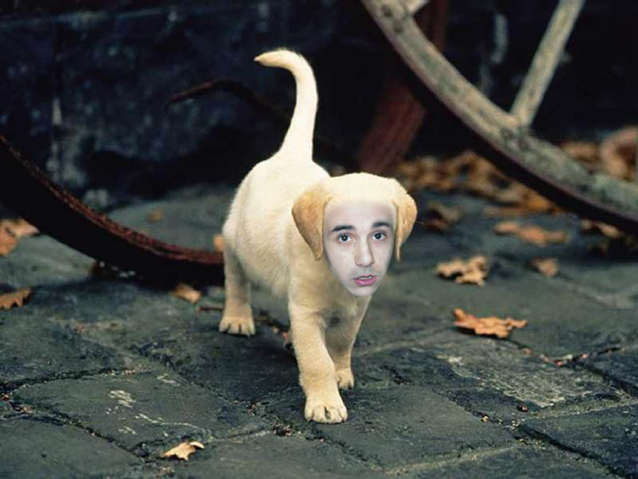 cugaa.jpg