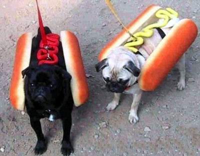 doggy2.jpg