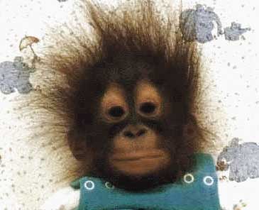 babyape.jpg
