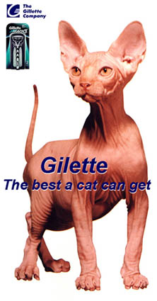 p_giillete__for_cat.jpg