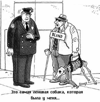 105.jpg