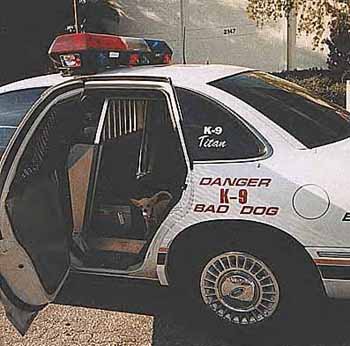 224.jpg
