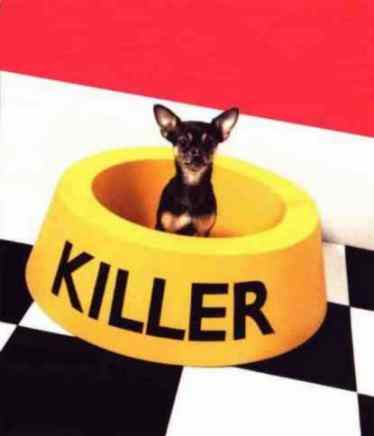 animal012.jpg