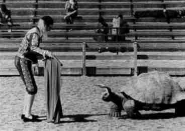 animal010.jpg