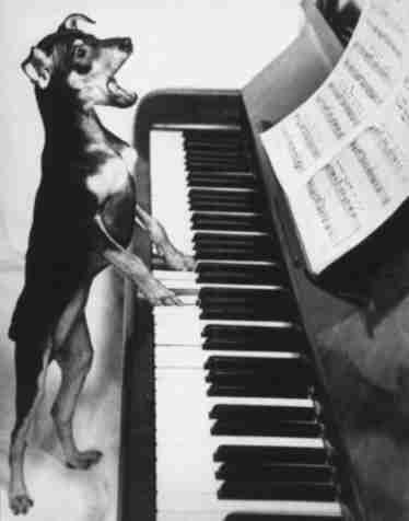 animals036.jpg