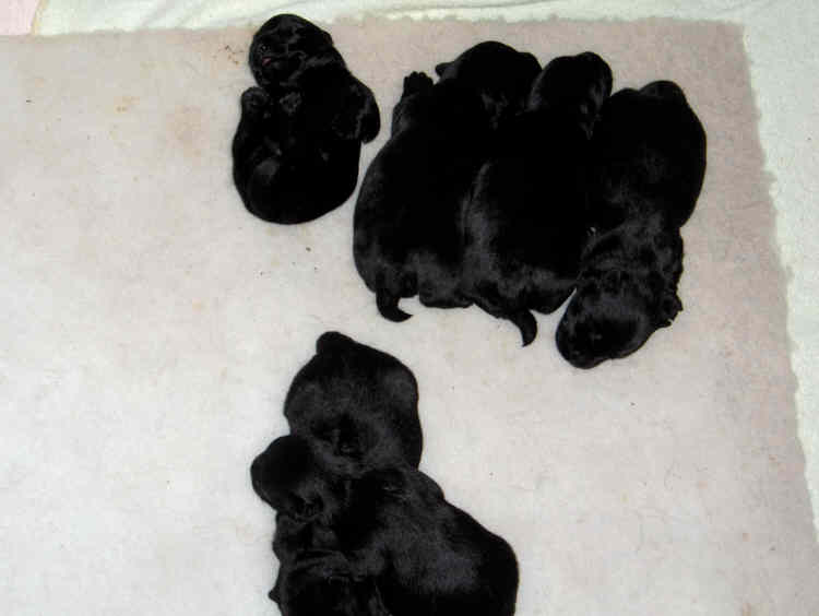 Babies_20006.jpg