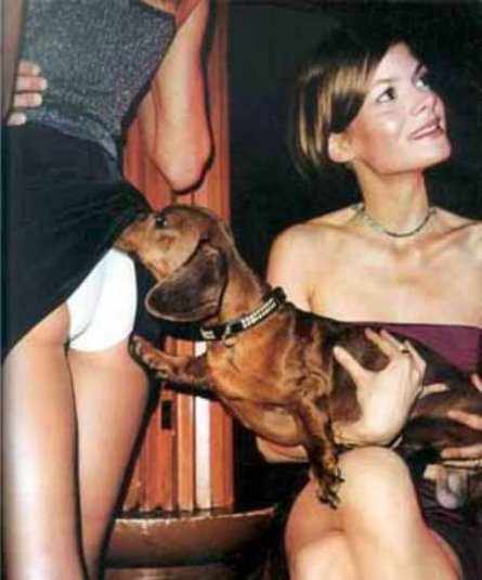 culotte_dog.jpg