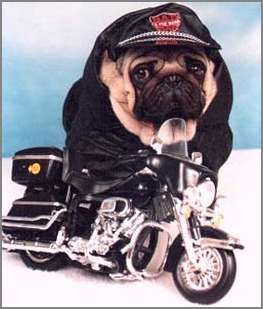 police_dog.jpg
