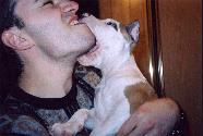 2635_pre_dog.breeder.jpg