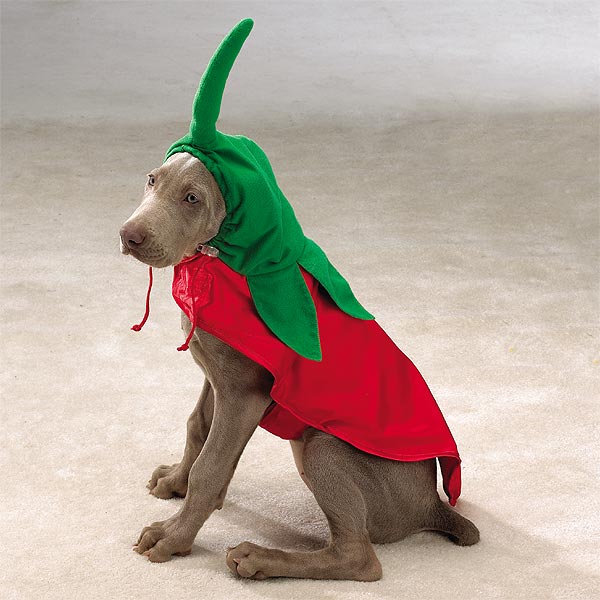 pepper_20Pet_20Costume.jpg
