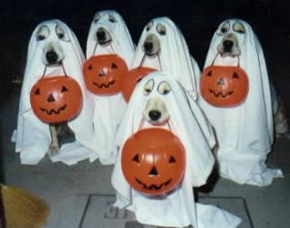 halloweendogs.jpg