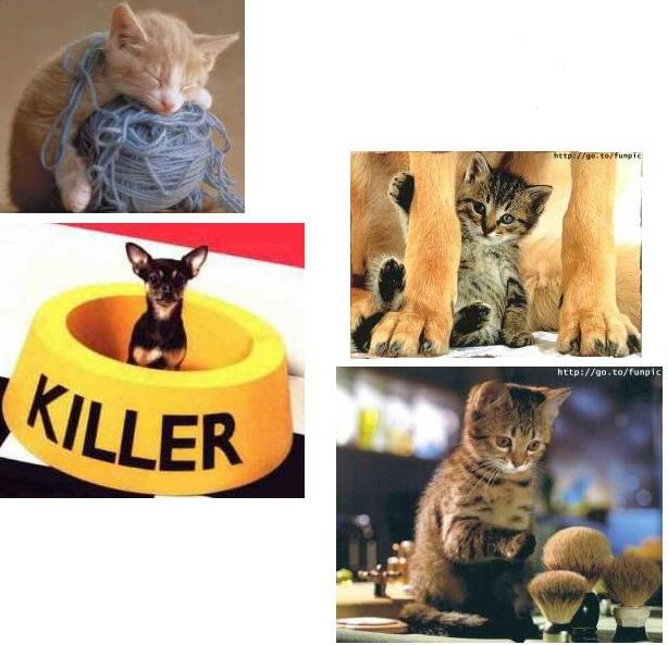 15.JPG