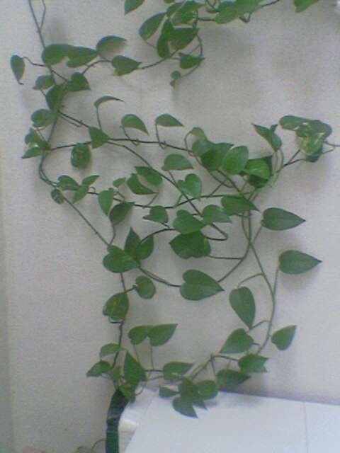 Image_06_.jpg