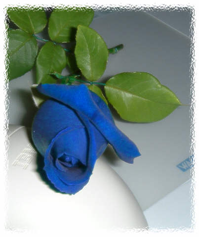 blue_rose.jpg