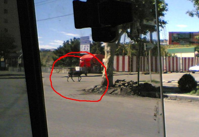 Vakeli_viri.JPG