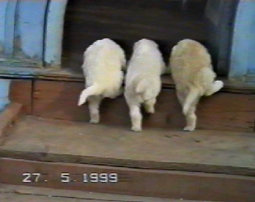200294_.jpg