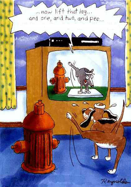 Dog_Exercise_Tv.jpg