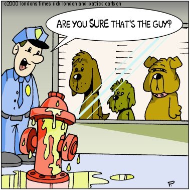 Dog_LineUp_Hydrant.jpg