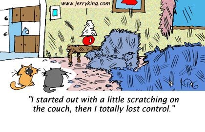 Cat_Scratch_Couch.jpg