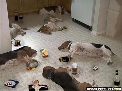 Dogs_Wild_Party.jpg