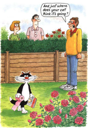 Cat_GoingInFlowers.jpg