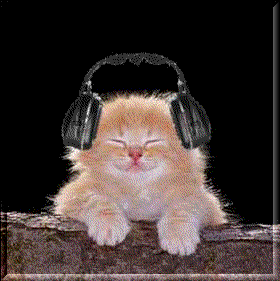 jamminkitty.gif