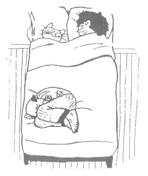 CatInBed.jpg