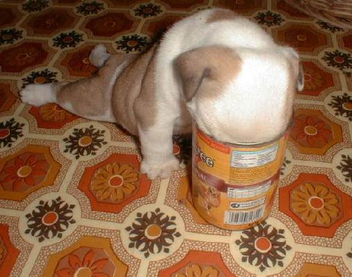 i_am_stuck.jpg