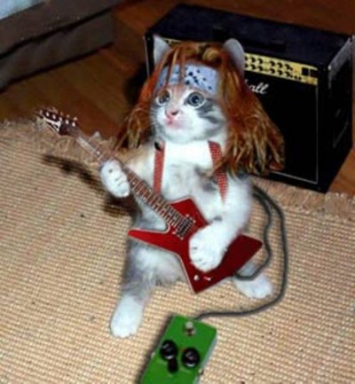 pussy2.jpg