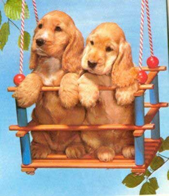 doggyswing.jpg