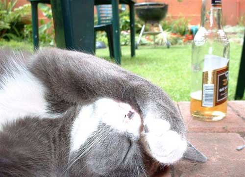 2312_07.jpg