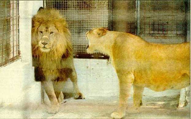 2afte20marriage.jpg.jpg