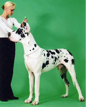 Image7_1_.jpg