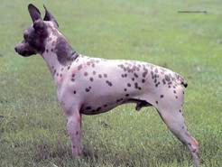 image002.jpg