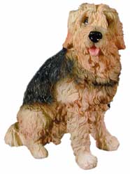 Otterhound.jpg