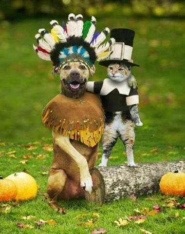 Thanksgiving_20__20Dog_20Indian_20__20Cat_20Pilgrim.jpg