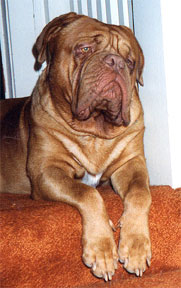 hutch.jpg