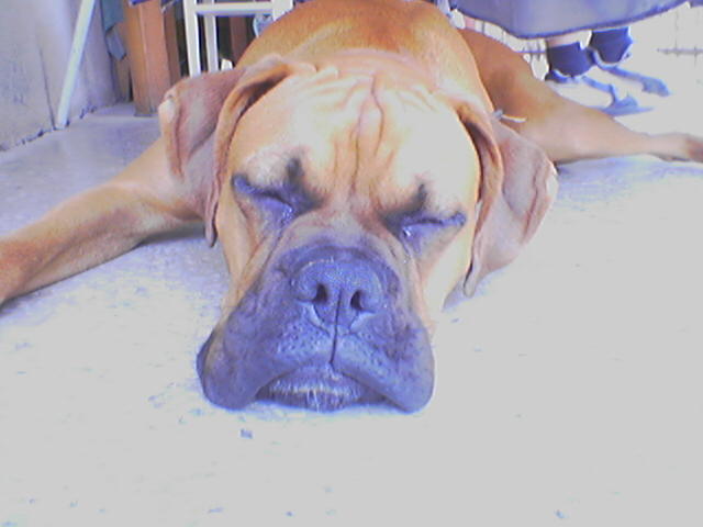 050807_135335.jpg