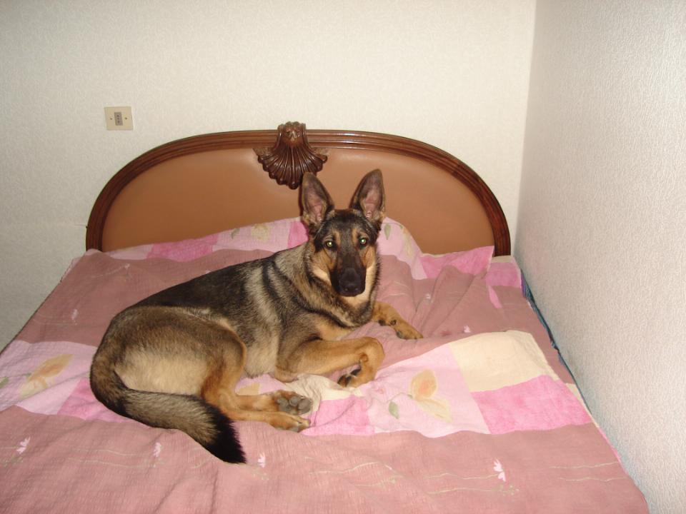DSC00881.JPG
