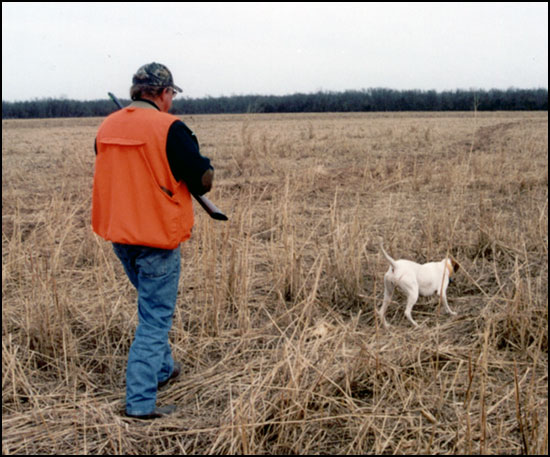 picpage9.jpg