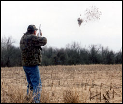birdpic1.jpg