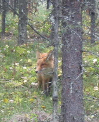 post_59_1110198800.jpg