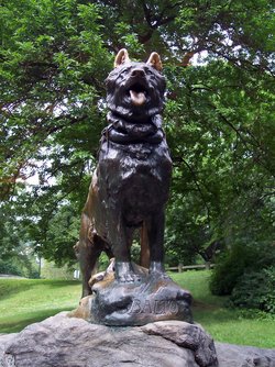 250px_Balto.jpg