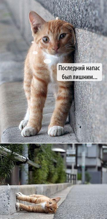 1126352588_i_1353_full.jpg